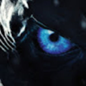 Meet your Posher, Donald